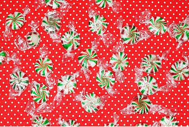 《As One We Survive》steam页面上线 俯视角末日生存